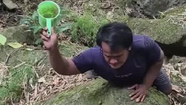 大哥又来抓荷兰猪啦