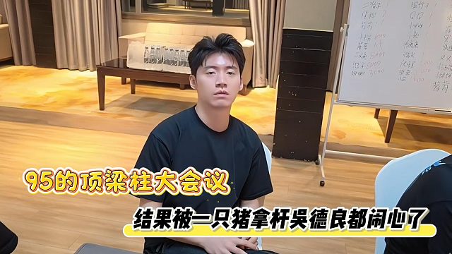 95的顶梁柱大会议，结果被一只猪拿杆吴德良都闹心了