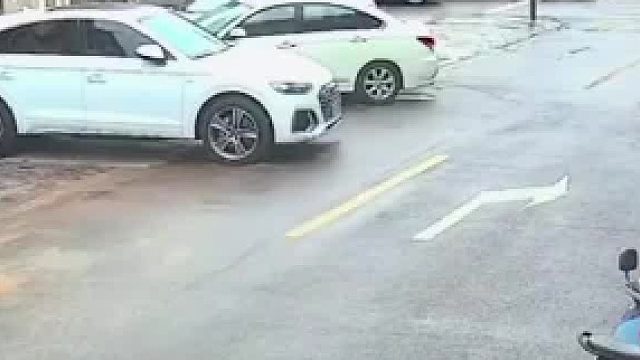 路边摸陌生松狮犬被狗瞬间扑倒撕咬