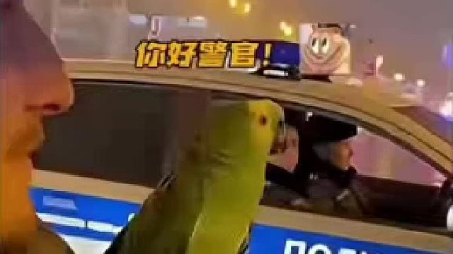 那咋了，你没了我还能去卖艺呢