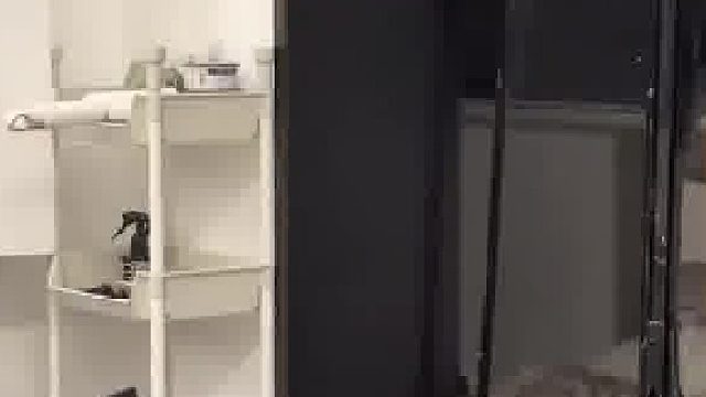 主人用东西挡住小猫，没想到小猫直接把东西给拽开了
