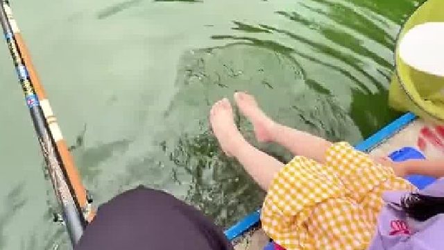 爸爸在河边半天没钓到鱼，宝宝只是把脚丫放水里玩水，结果脚下捞出一群鱼​