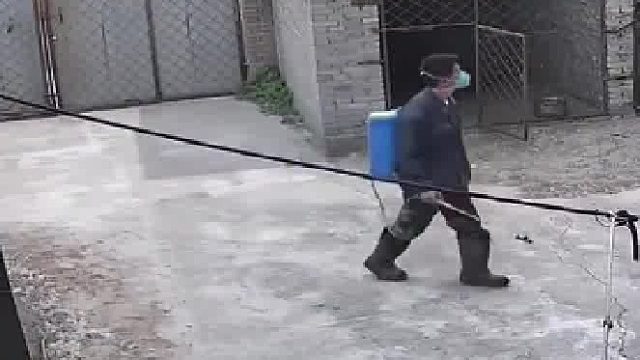 男主人打玩农药回家，气味被掩盖狗子冲人乱吼，看清是自己人后表情亮了，狗子：不好意思啊好尴尬