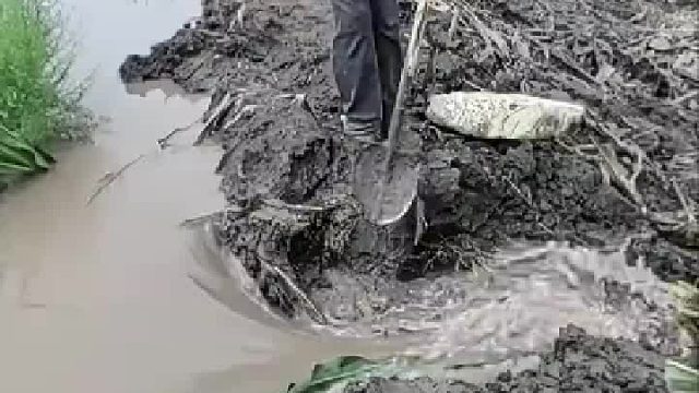 男子为了给玉米地浇水，直接把河堤挖出大缺口，有人劝也不停手，结果最后决堤，玉米地全淹了​