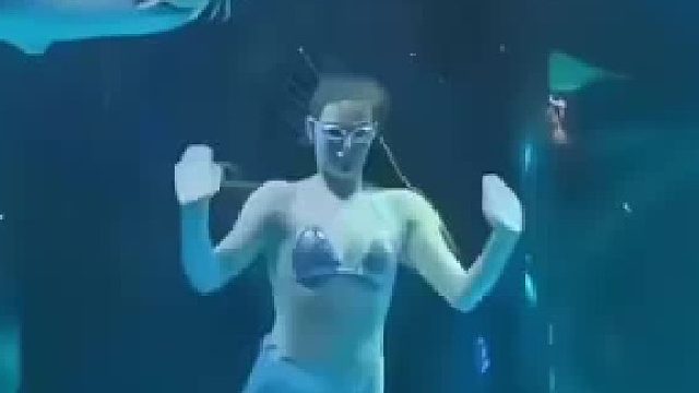 人是下午咬的 鱼是晚上炖的？
