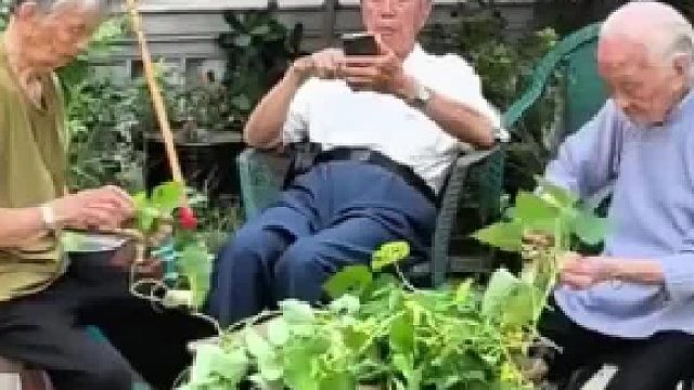 人间顶配