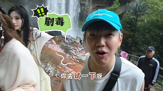 差点被毒蛇咬，童锦程竟让小二上手把玩，得知毒性直接吓傻