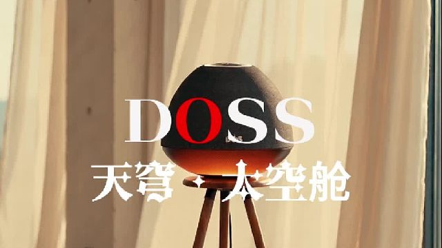 把家变成艺术馆｜DOSS天穹太空舱落地