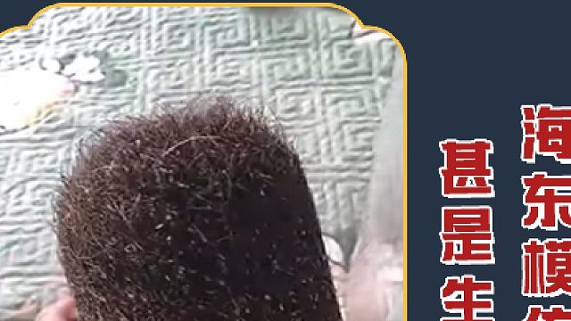 你小子怎么还特地去粪里挖啊