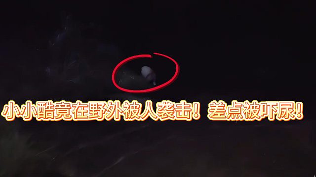 小小酷竟在野外被人袭击！差点被吓尿！