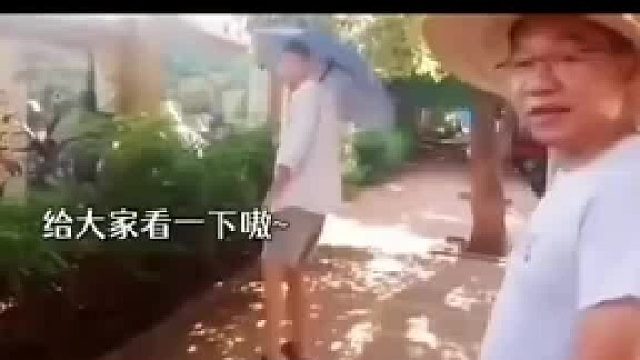 我的疏忽