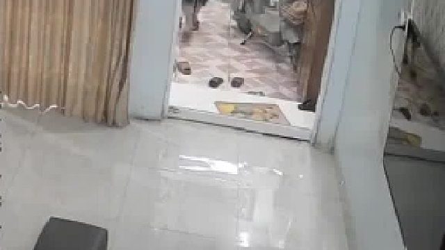 小朋友真的该打，好好教育一番