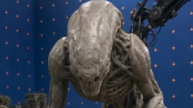 在玛雅古庙遇到了恐怖的巨型生物，能跑掉吗