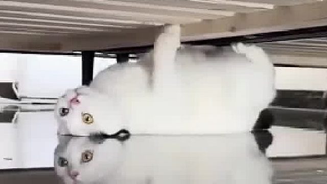 第一眼还以为是幻术​