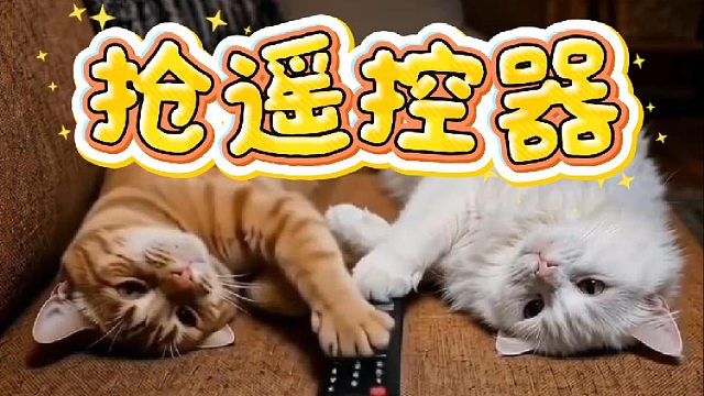 抢遥控器大战