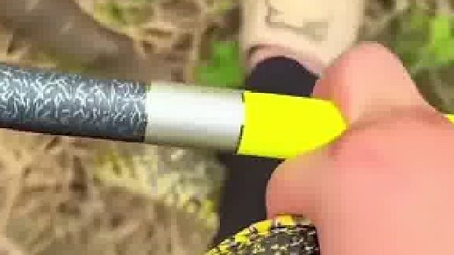 男子去钓鱼时，突然被蛇攻击