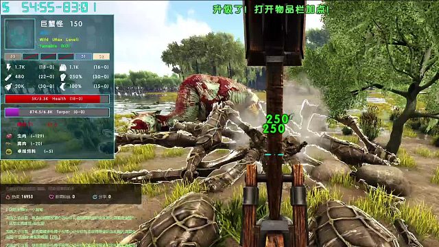 快速打晕螃蟹的方法100%驯服
