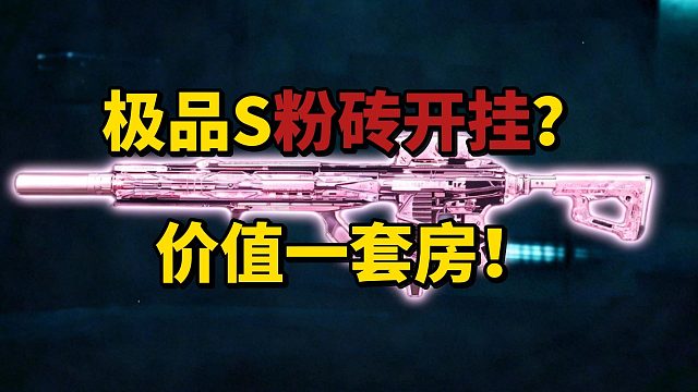 极品S粉转开挂？ 价值一套房！