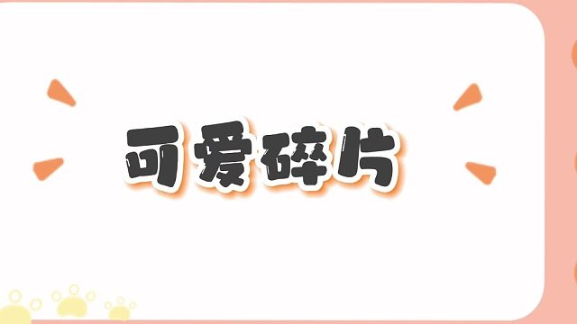可爱碎片背景图