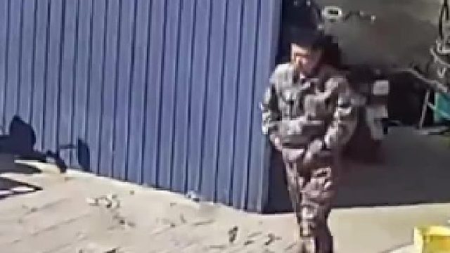 狗主人用脚碰了狗一下，狗直接转头咬了上去，网友：别的狗都惊呆了