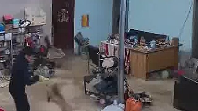 流浪狗在家门口咬伤小孩，随后跑进家准备攻击老人​