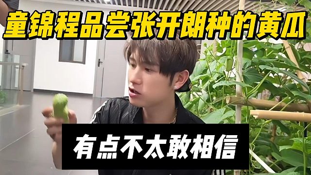 童锦程品尝张开朗种的黄瓜，有点不太敢相信
