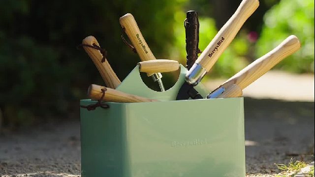跨越山海的园艺共鸣，Monty Don（蒙提・唐）正式代言 Berry&Bird