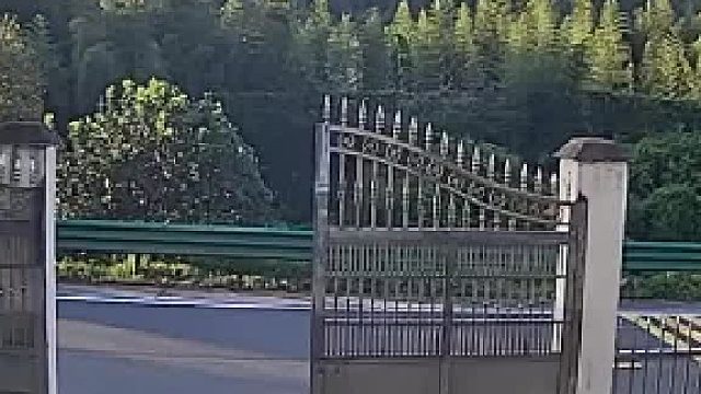 主人将自己家的一窝小奶狗，偷偷丢在了男子家院子里1
