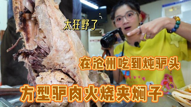 【逛吃沧州】整个驴头太横了！方形火烧夹着吃！焖子是意外惊喜！
