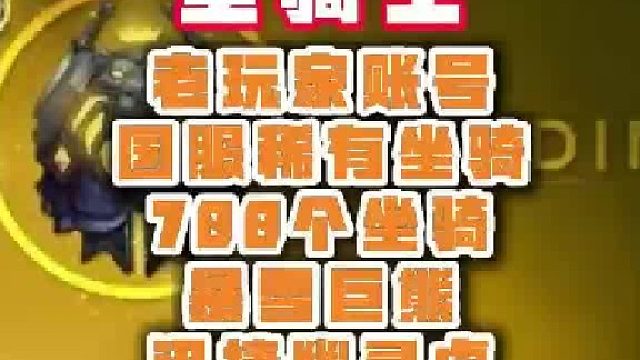 魔兽成品号 圣骑士