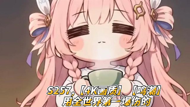 S257,【4K画质】【鸣潮】用全世界第一爆伤的爱弥斯和世一爆伤卡提希娅，没有操作-全是数值hhh通关冥歌海墟