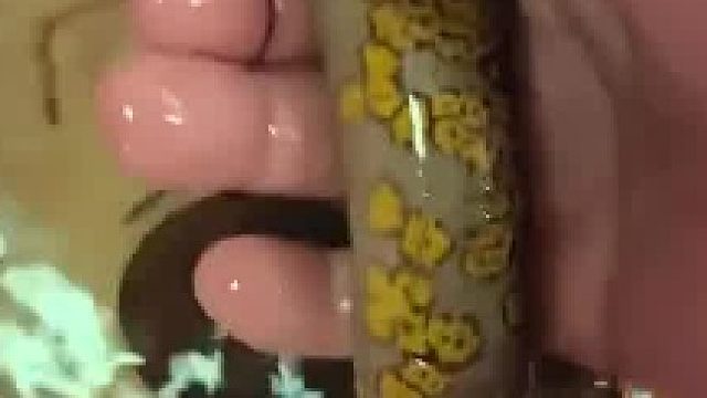 变异铜钱黄鳝，还真是第一次见到