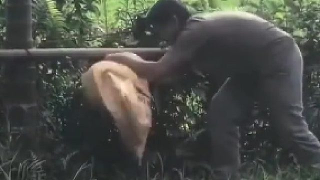 绝对是狠人​