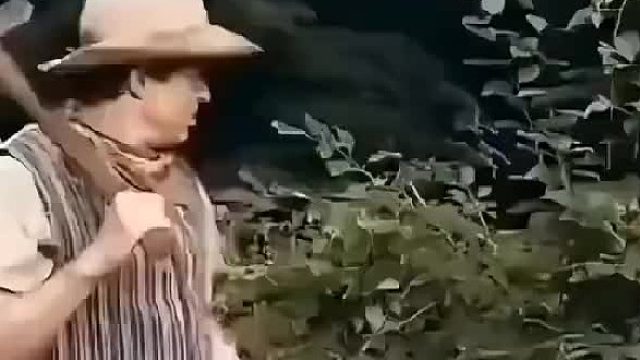 野外蘑菇不要乱吃，不然容易出现幻觉。