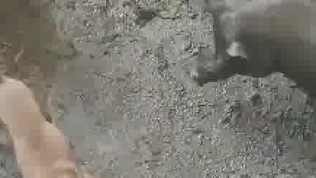 杀气腾腾的狗子害怕被猪暴揍，假装是来喝水的展示无害，狗子：识时务者为俊杰​