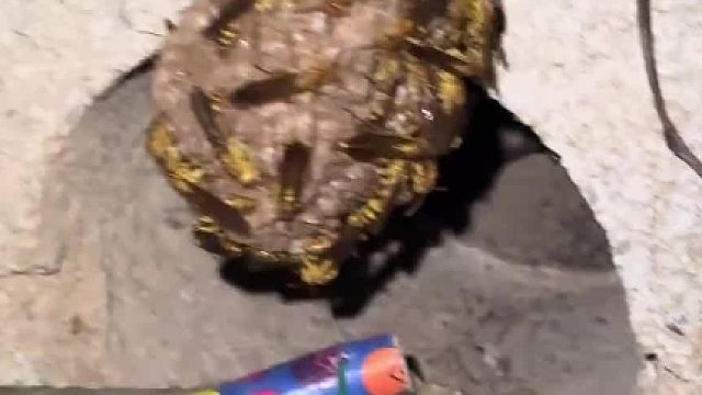 教训小黄老汉……