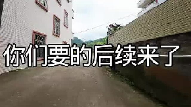 我梦到过这个
