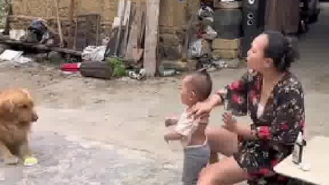 爸爸给宝宝买了学说话玩具，两只狗先学会了开始占主人便宜