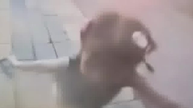 车主：我全责，我带回去好好补偿几天再送回来