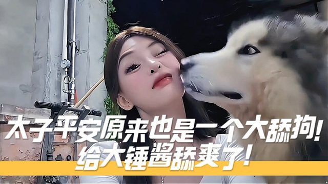 太子平安原来也是一个大舔狗！给大锤酱舔爽了！