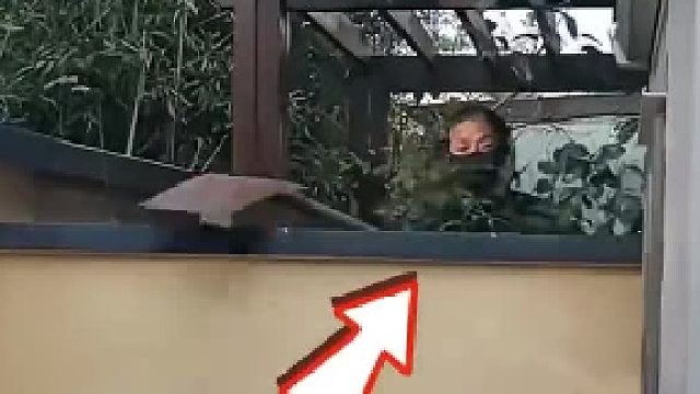 女子在自家院子里建了个储物房 邻居不让 站在院外拿铁锹砸 网友