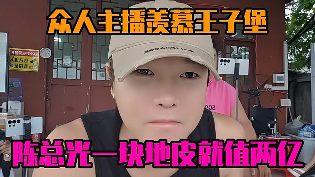 众人主播羡慕王子堡，陈总光一块地皮就值两亿