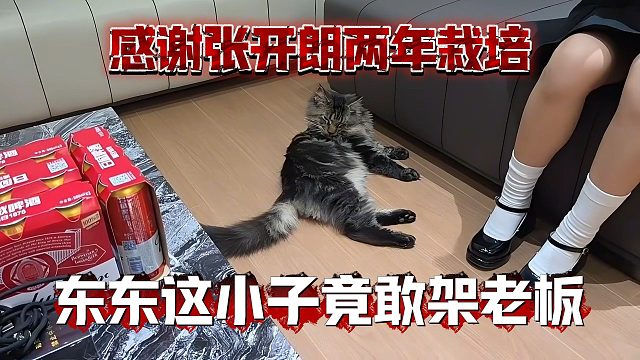 感谢张开朗两年栽培，东东这小子竟敢架老板