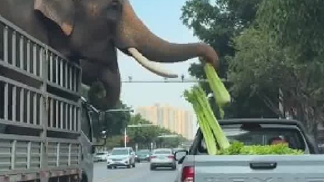 见者有份​