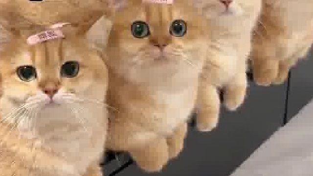 妈妈决定后代颜值