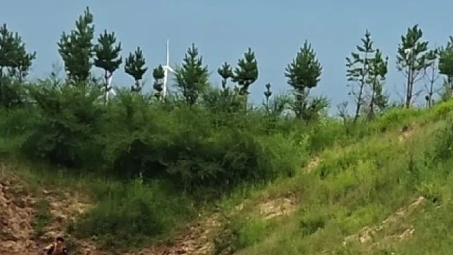 马术牛人 在马背上真稳啊