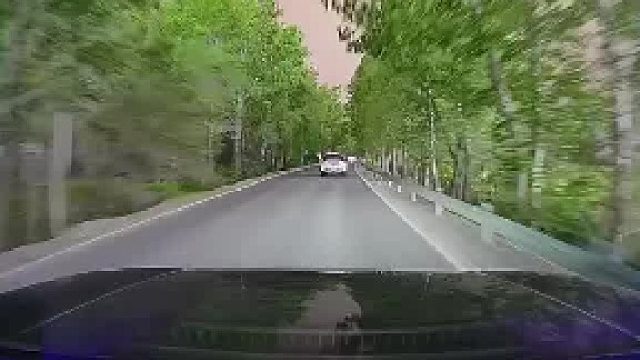 为什么不面对疾风