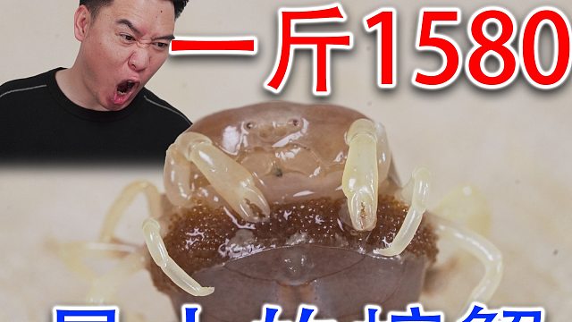 世界上最小的螃蟹，一斤居然要卖1580