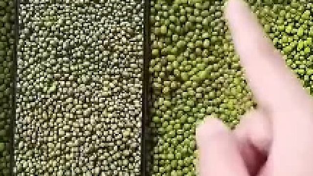 两种摄像对比，没想到后面这个是真的