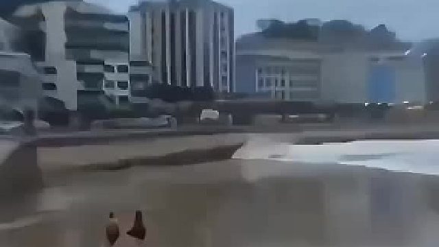 不作死就不会死！！